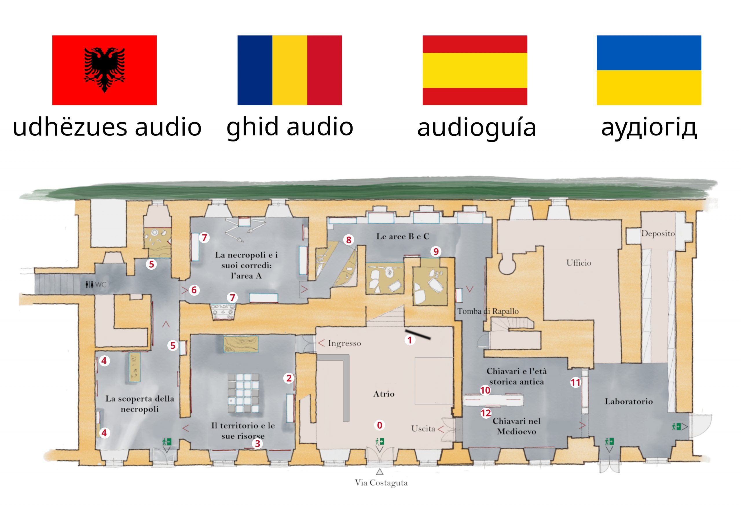 Harta e muzeut — itinerari i numëruar