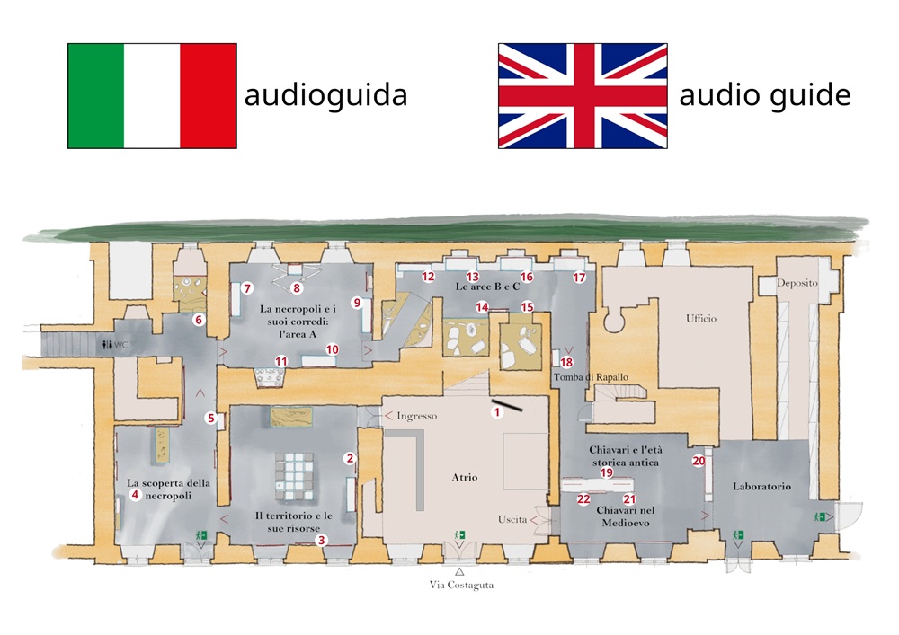 Mappa del museo — percorso numerato
